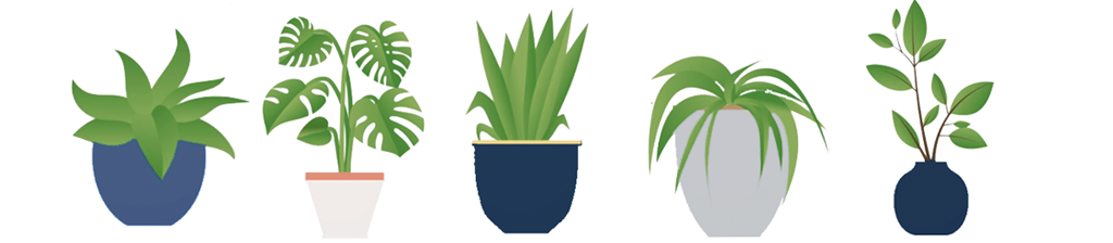 illustrations of plants
